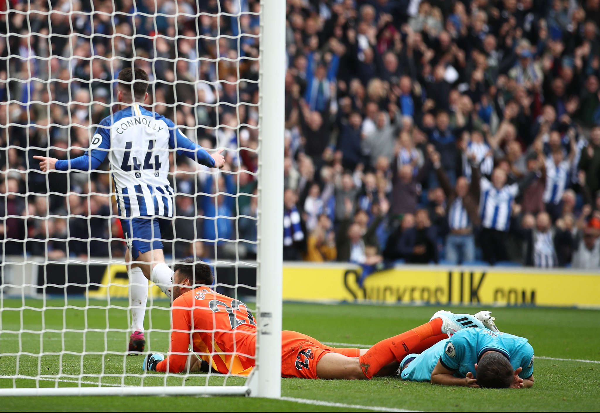 而在文胖的 而在文胖的